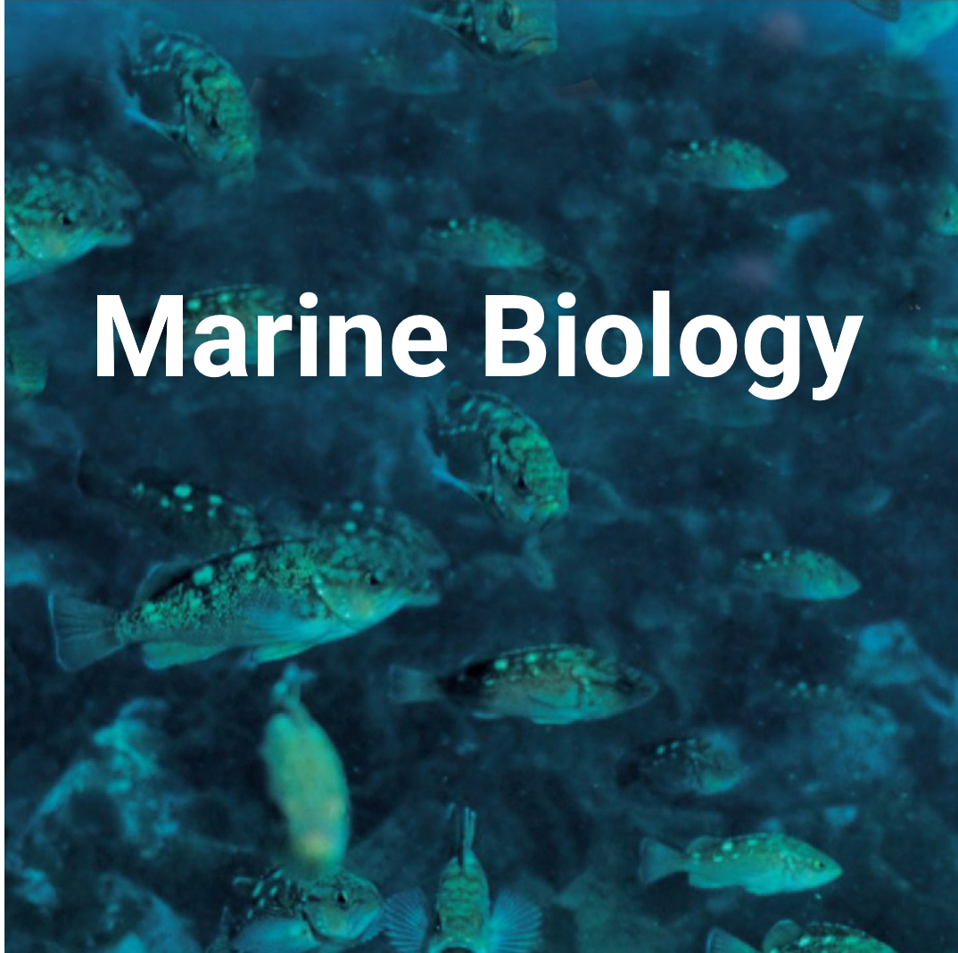 海洋生物科学科Marine Biology