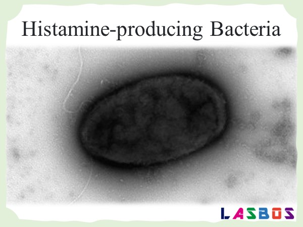 Histamine-producing Bacteria