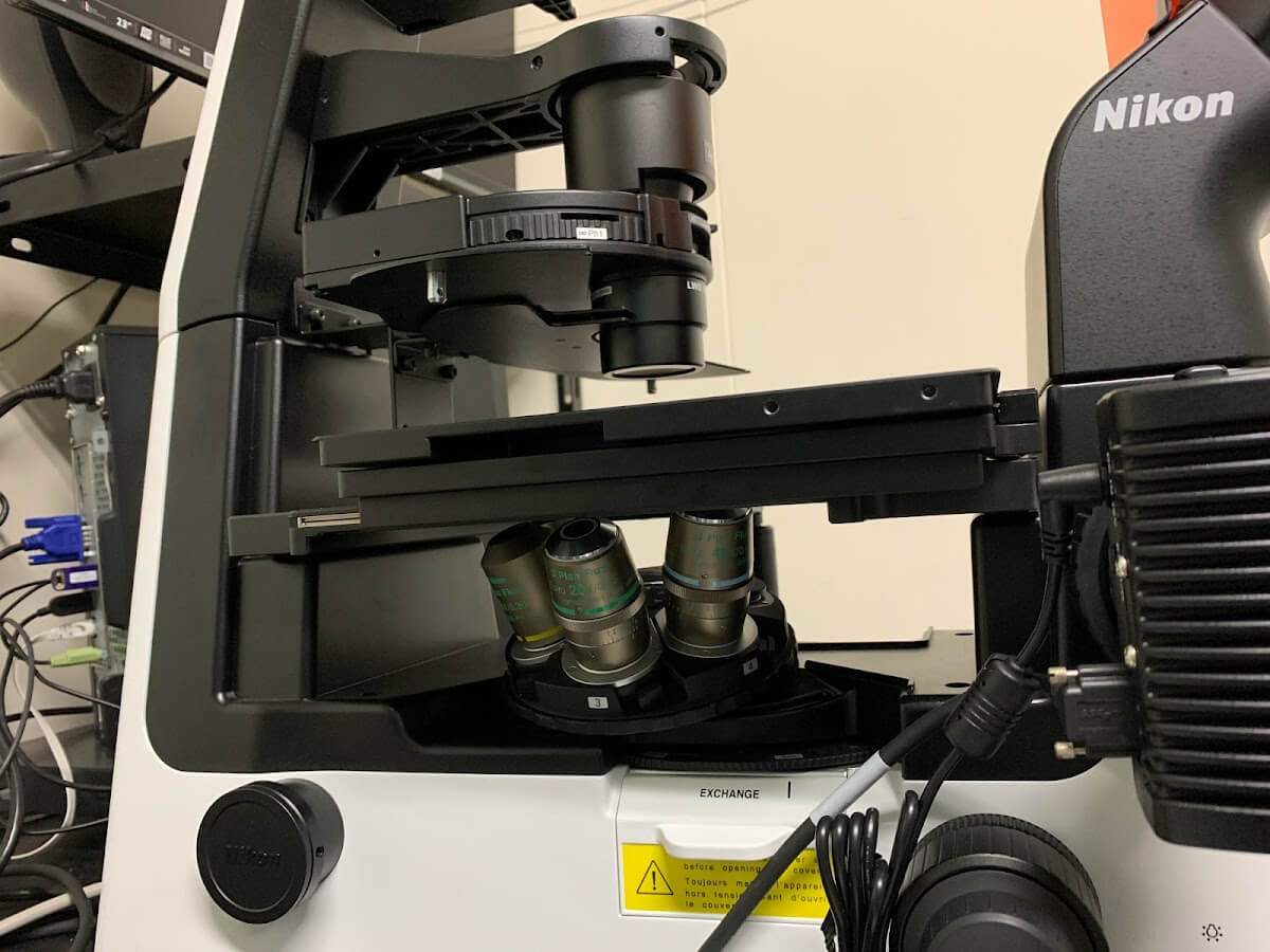 倒立顕微鏡の対物レンズ