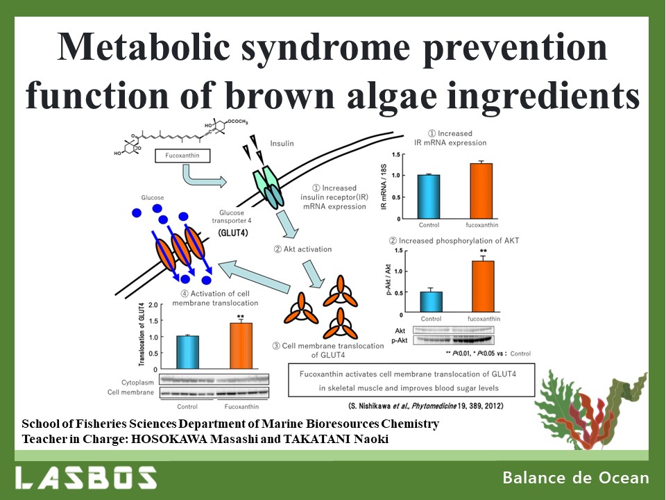 Metabolic syndrome prevention function of brown algae ingredients