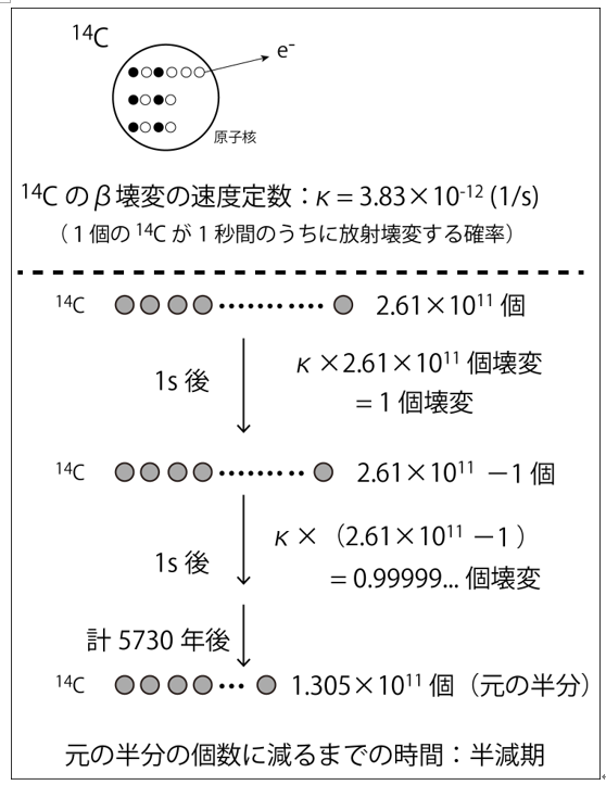 パズドラ 千石撫子で裏魔廊の支配者を攻略 ブログ 攻略 微課金勢のパズドラ戦記