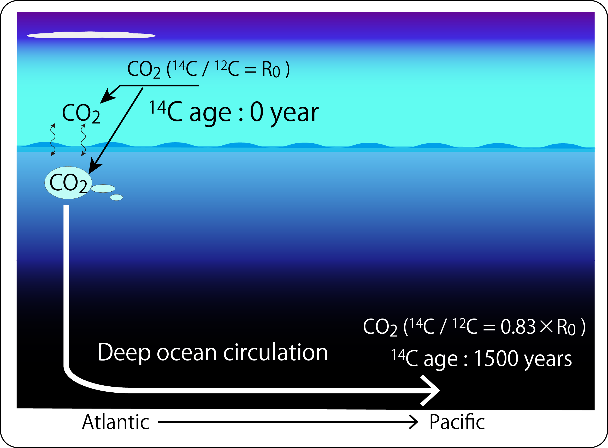 海洋生態学 JAMSTEC | 海洋研究開発機構 | ジャムステック