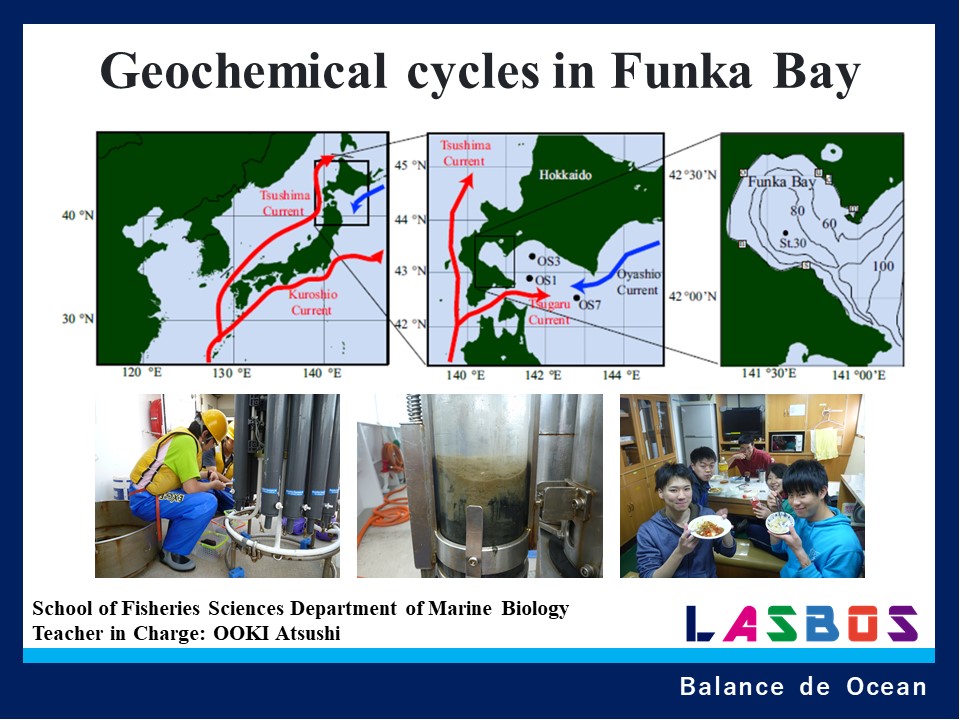 Geochemical cycles in Funka Bay