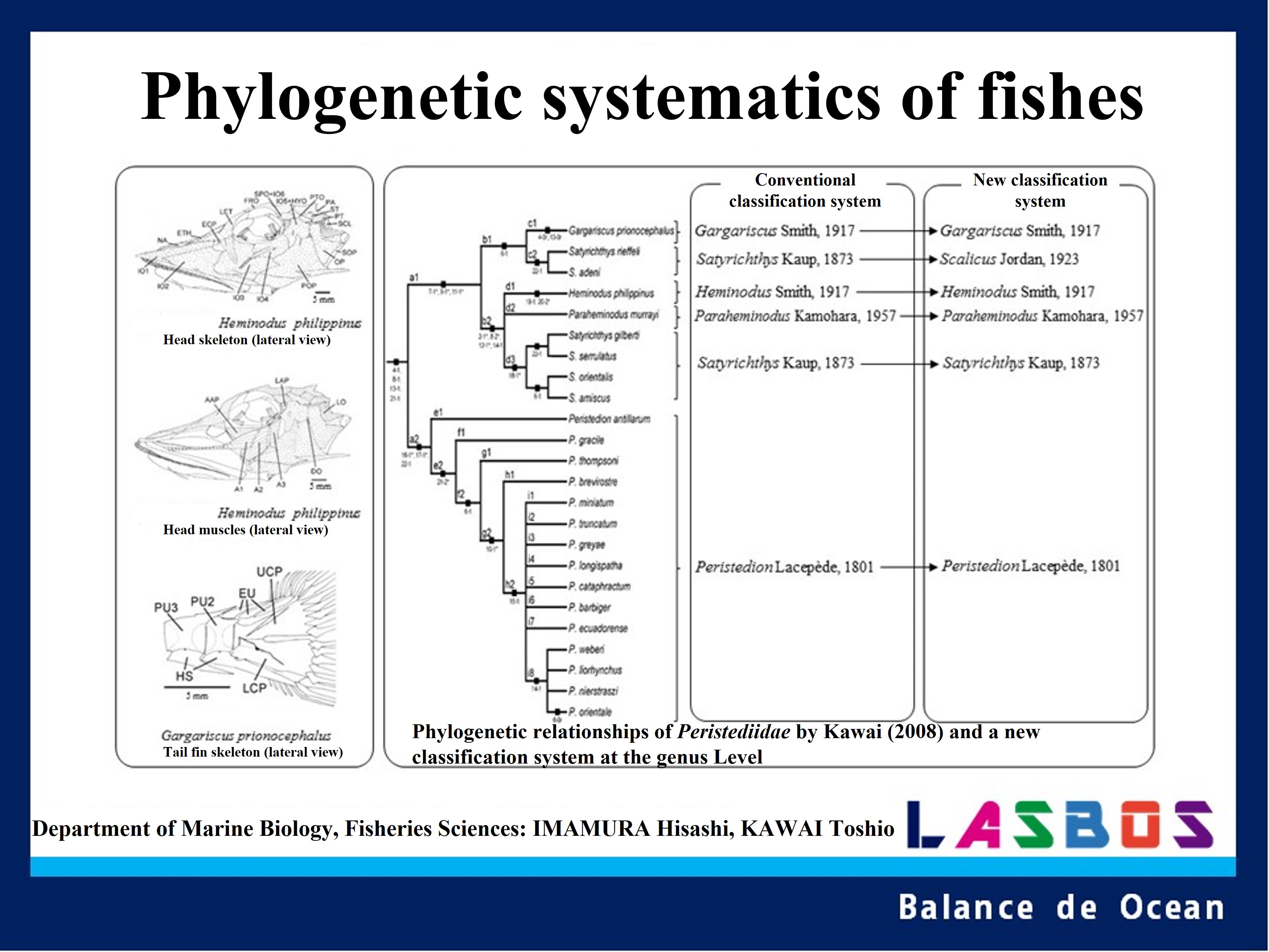 Phylogenetic systematics of fishes