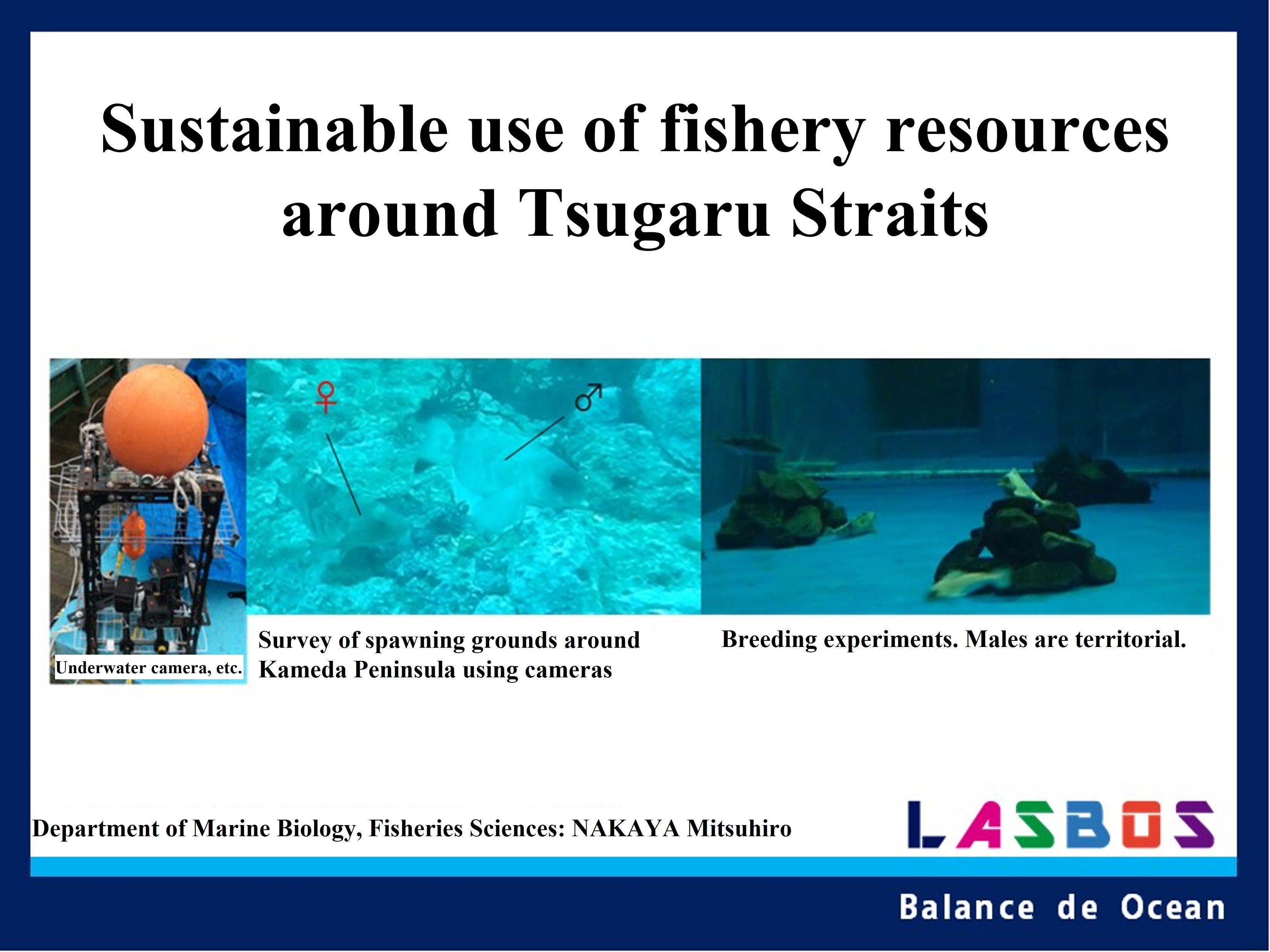 Sustainable use of fishery resources around Tsugaru Straits