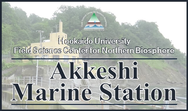 Course Image Akkeshi Marine Station