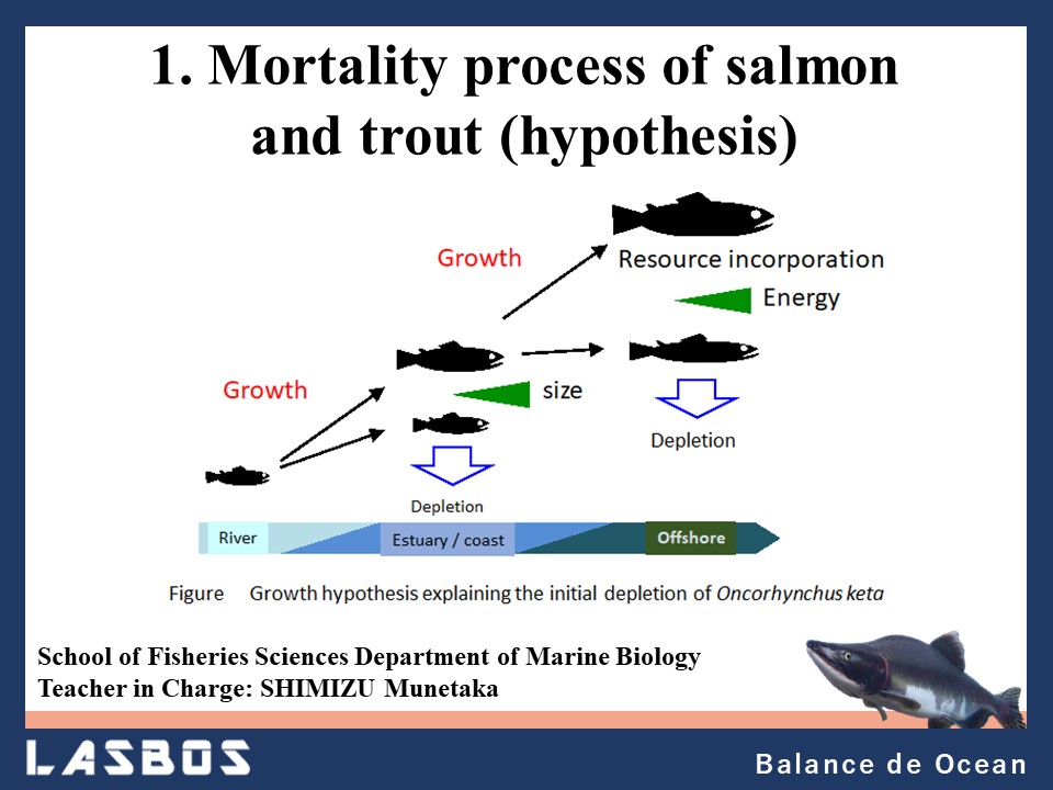 1 Mortality process of salmon and trout (hypothesis)