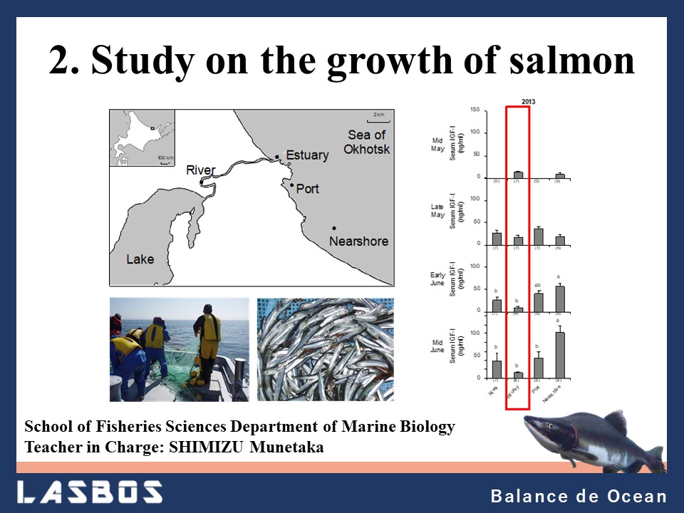 2 Study on the growth of salmon