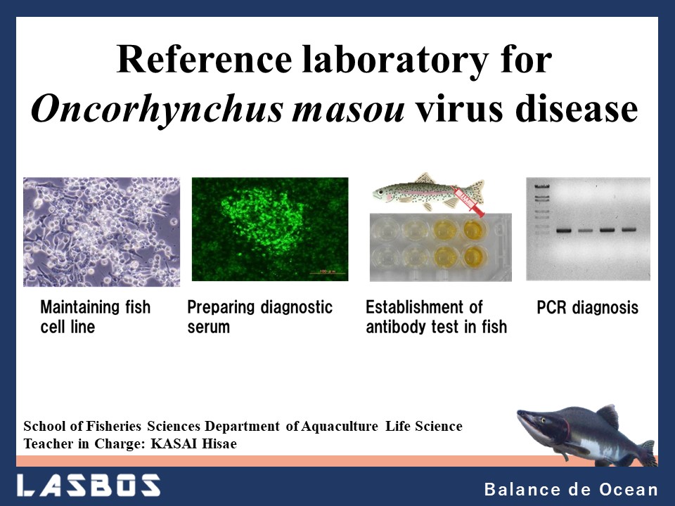Reference laboratory for Oncorhunchus masou virus disease