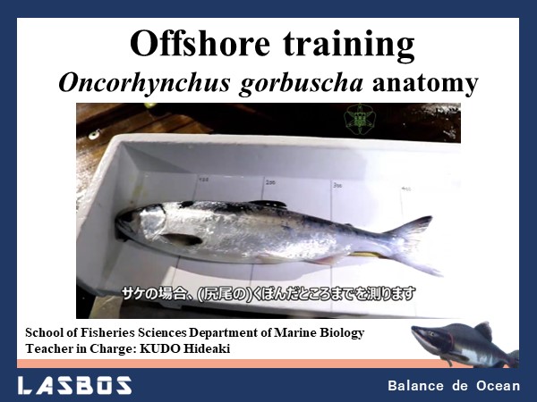 Offshore training: ???????????? ????????? anatomy