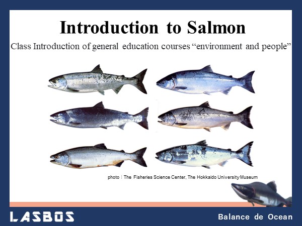 Introduction to Salmon
