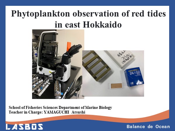 Phytoplankton observation of red tides in east Hokkaido