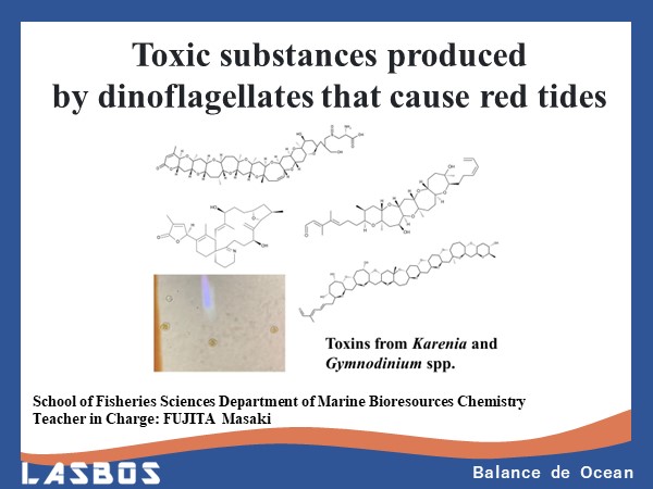Toxic substances produced by dinoflagellates that cause red tides
