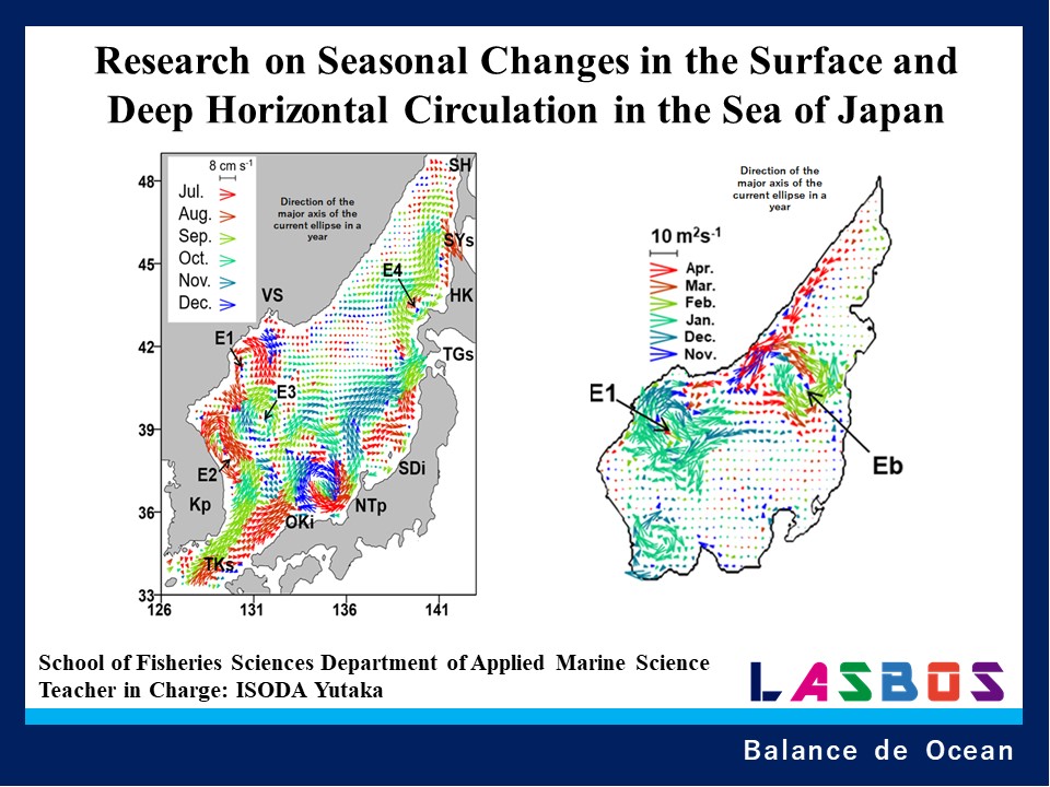 Research on Seasonal Changes in the Surface and Deep Horizontal Circulation in the Sea of Japan
