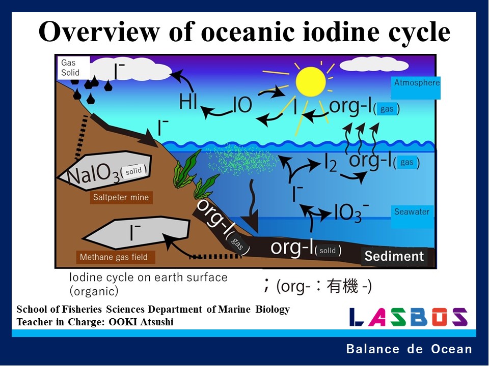 Overview of oceanic iodine cycle
