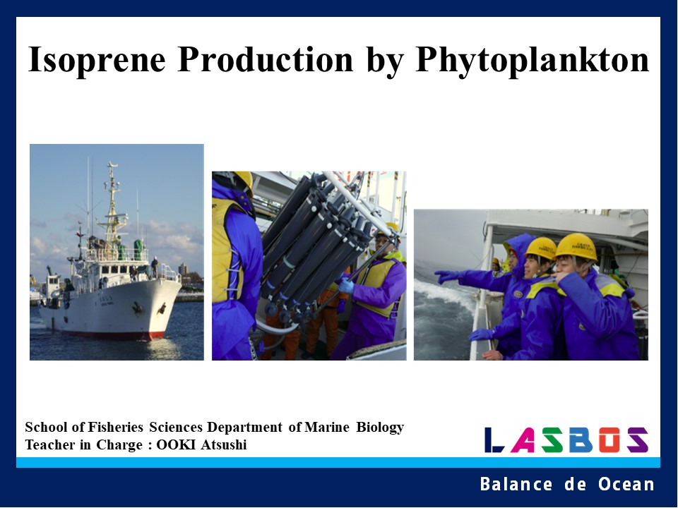 Isoprene Production by Phytoplankton