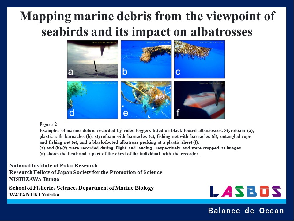 Mapping marine debris from the viewpoint of seabirds and its impact on albatrosses
