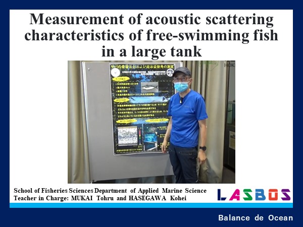Measurement of acoustic scattering characteristics of free swimming fish in a large tank