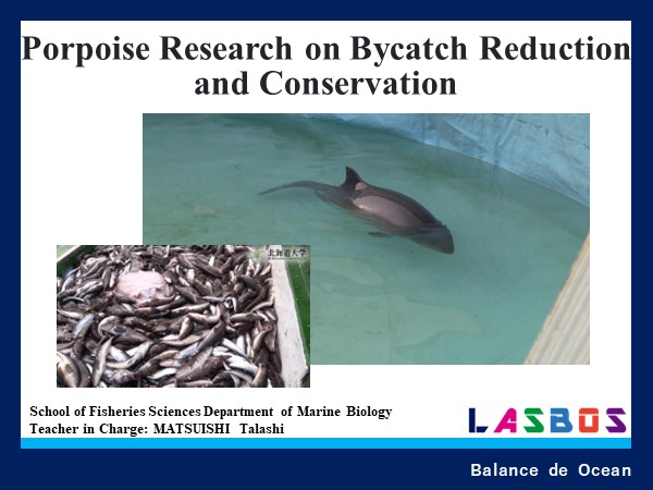 Porpoise Research on Bycatch Reduction and Conservation