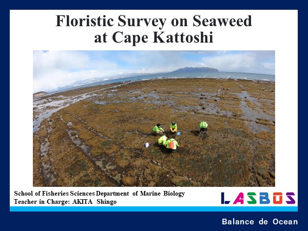 Floristic Survey on Seaweed at Cape Kattoshi
