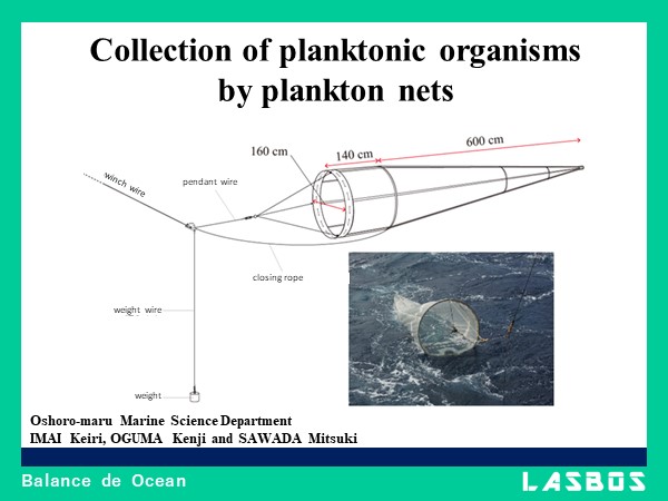 Collection of planktonic organisms by plankton nets