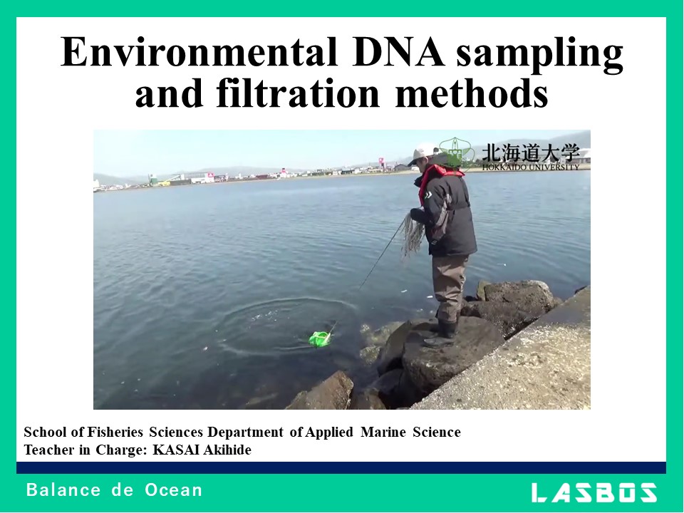Environmental DNA sampling and filtration methods