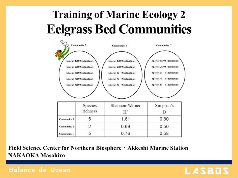 Training of Marine Ecology 2: Eelgrass Bed Communities