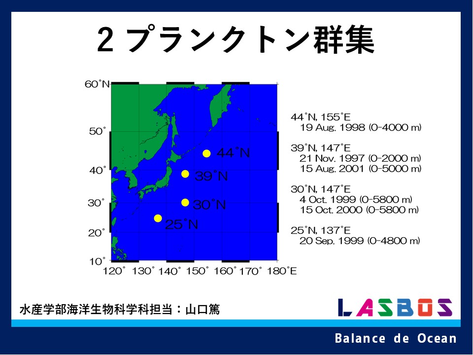 謎めく海の「ゼリープランクトン」たち、わかりはじめた大いなる