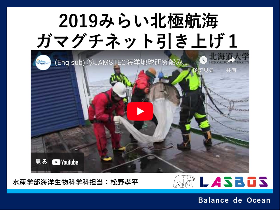 海洋生態学 海洋生態学 WebOPAC Local書誌詳細
