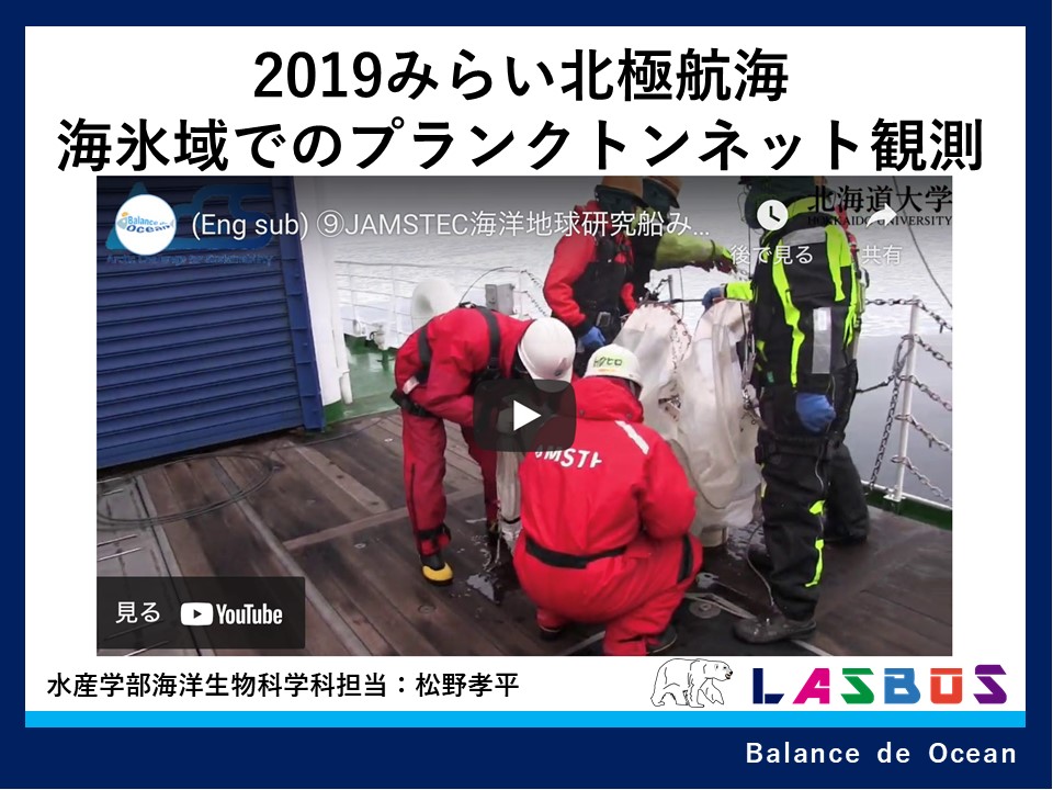 コース: プランクトン plankton | LASBOS Moodle