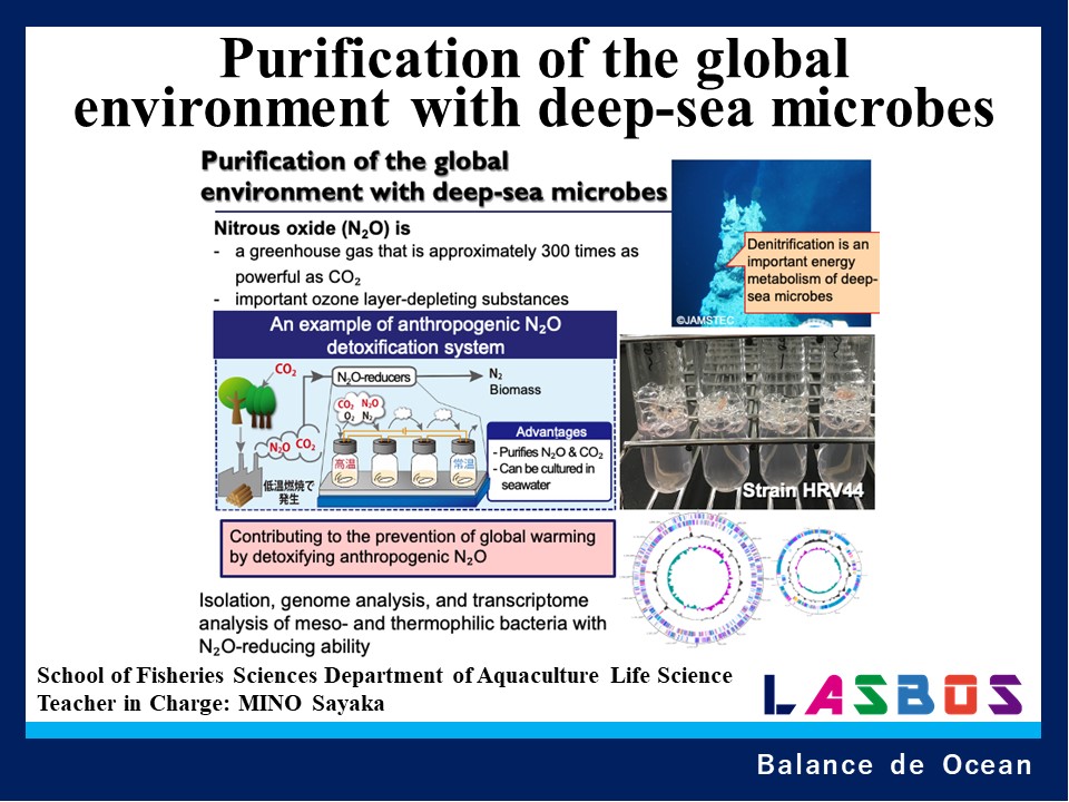 Purification of the global
environment with deep-sea microbes
  
