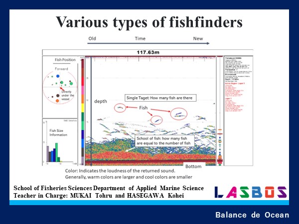 Various types of fishfinders