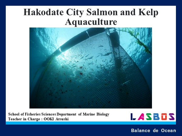 Hakodate City Salmon and Kelp Aquaculture
