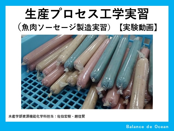 魚肉ソーセージ製造実習