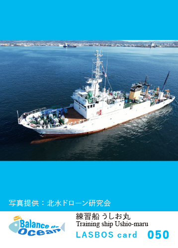 050_練習船うしお丸 Training ship Ushio-maru