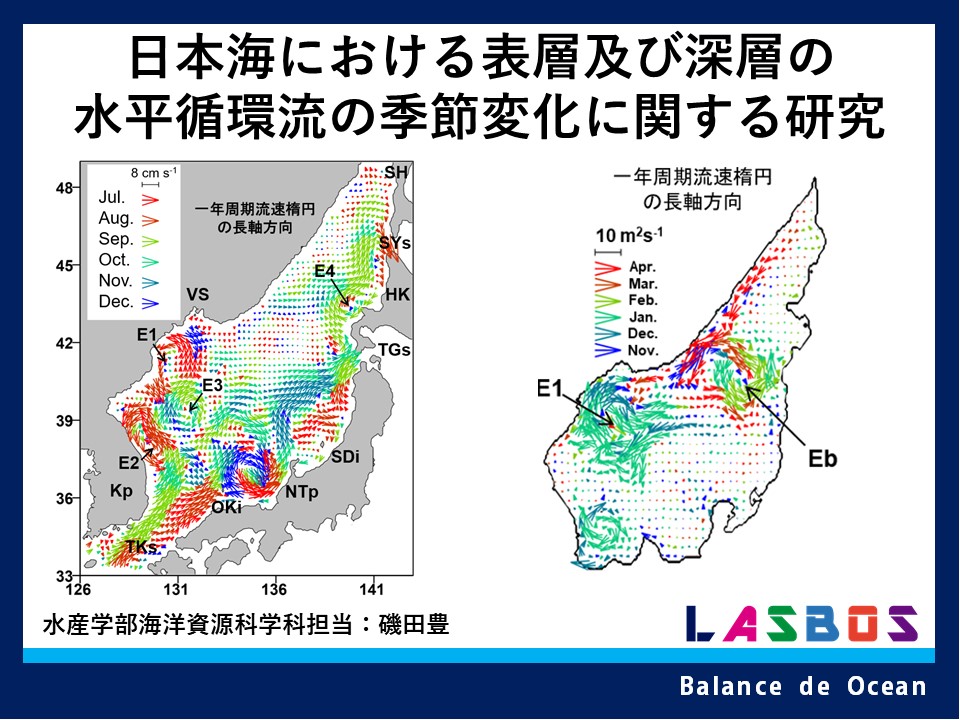 日本海における表層及び深層の水平循環流の季節変化に関する研究