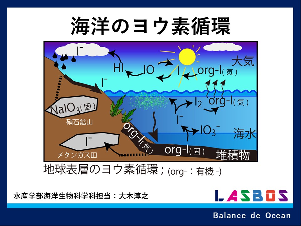 海洋のヨウ素循環の概要