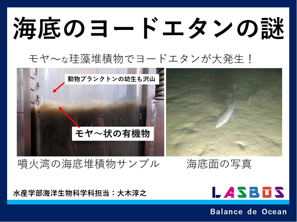 コース: 海洋学 Oceanography | LASBOS Moodle