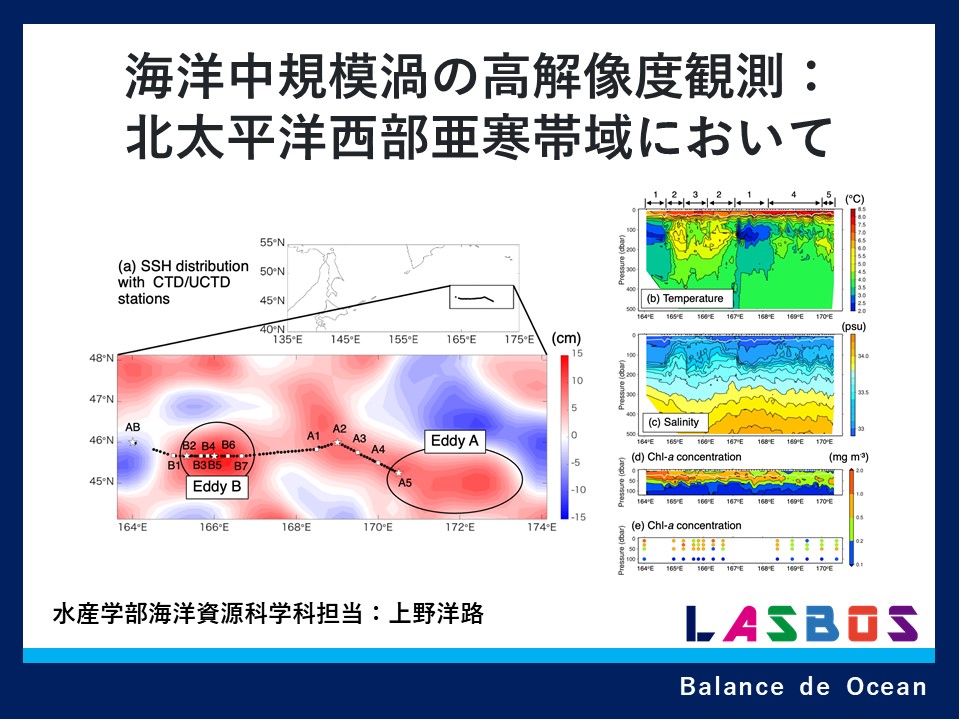 海洋生態学 北海道大学ボート部(公式) on X: 