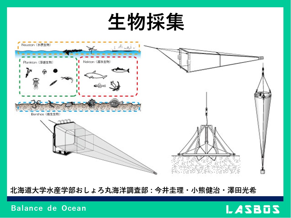 Curso: 海洋観測の手法 | LASBOS Moodle