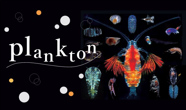 Course Image Plankton