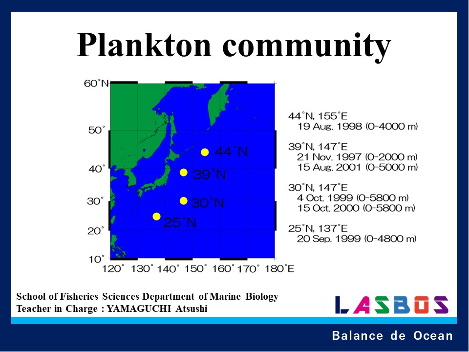 2 Plankton community