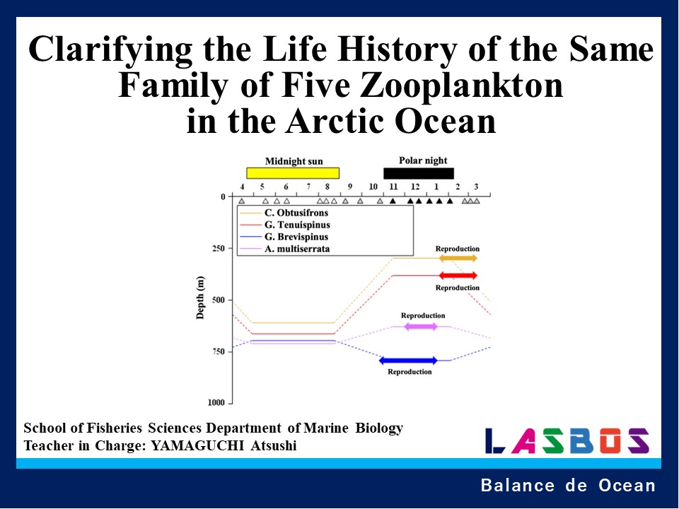 Clarifying the Life History of the Same Family of Five Zooplankton in the Arctic Ocean
