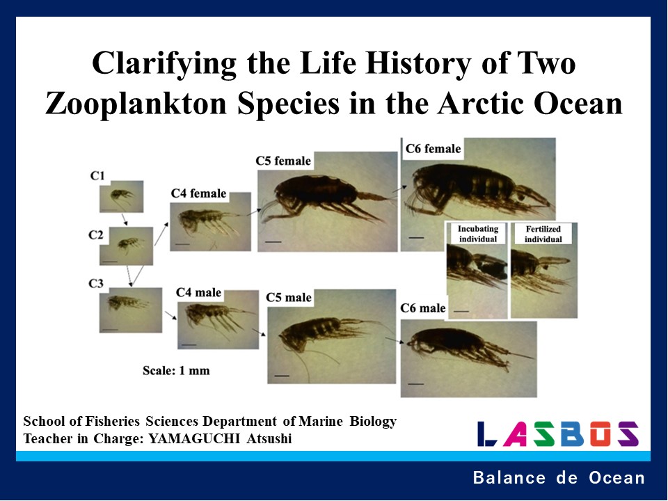 Clarifying the Life History of Two Zooplankton Species in the Arctic Ocean