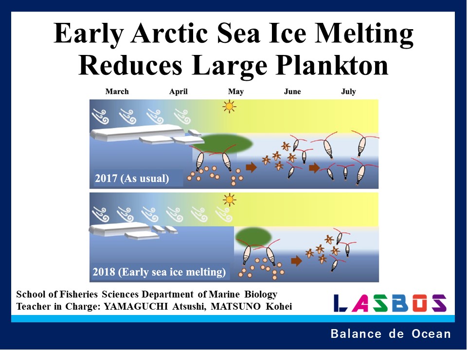 Early Arctic Sea Ice Melting Reduces Large Plankton