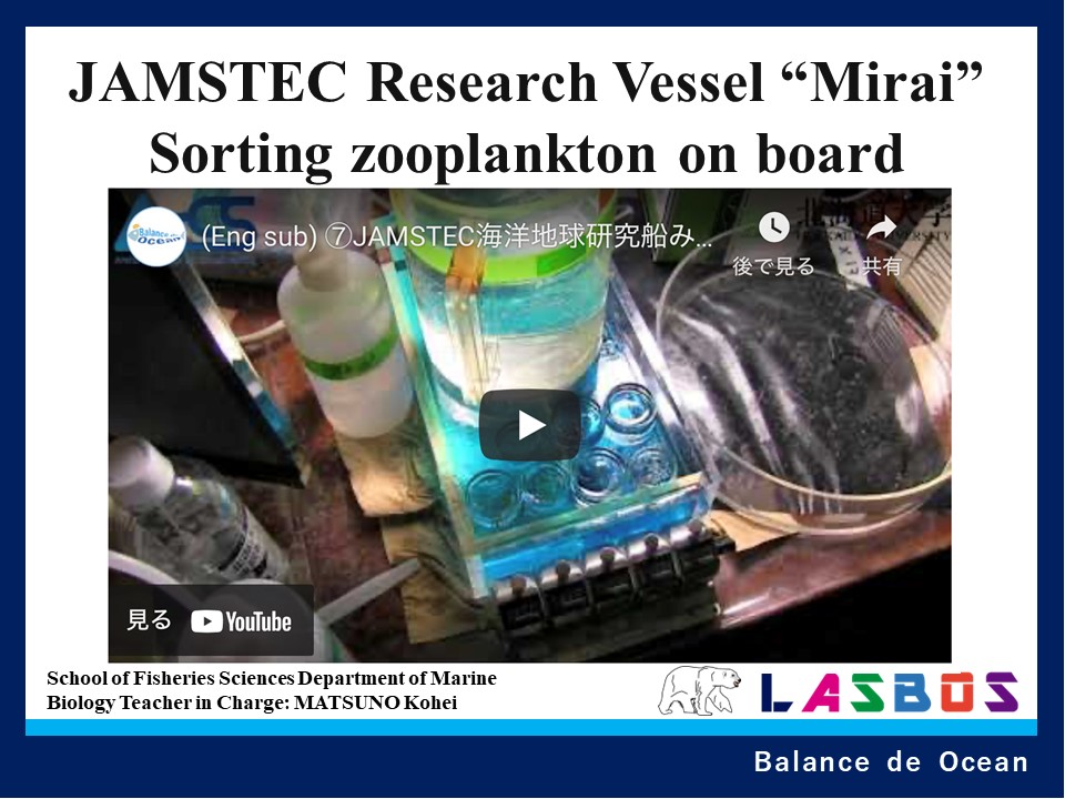 Sorting zooplankton on board