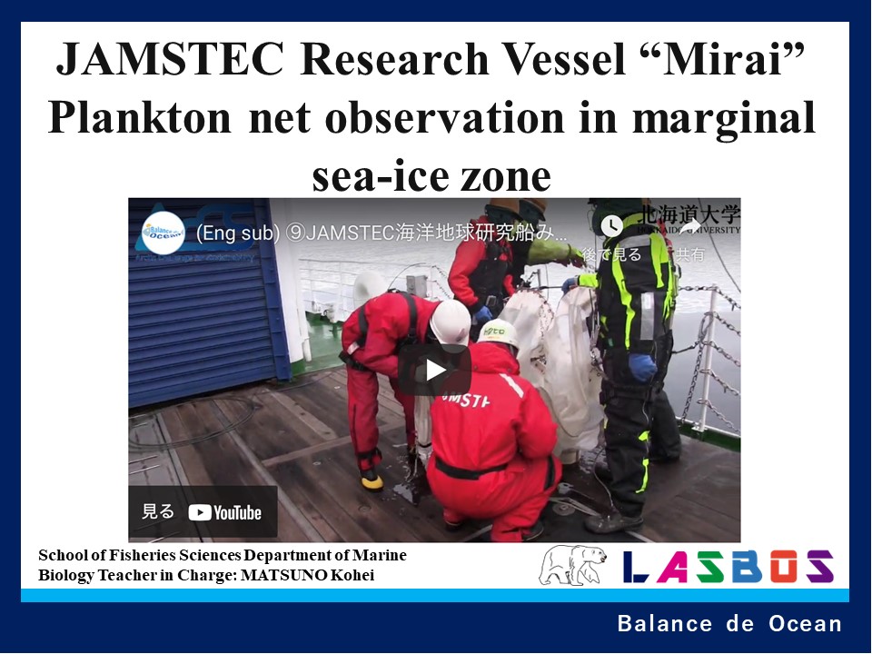 Plankton net observation in marginal sea-ice zone