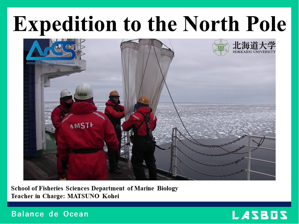 Expedition to the North Pole