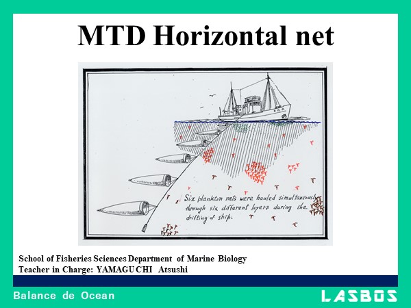 MTD Horizontal net