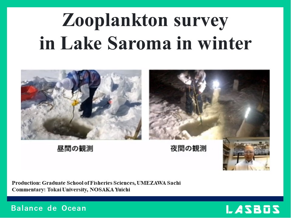 Zooplankton survey in Lake Saroma in winter